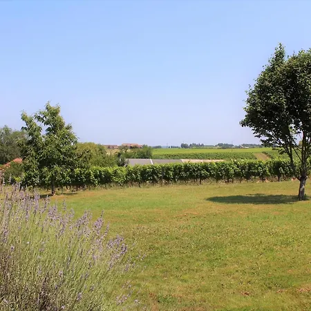 Holiday home Grande Maison De Caractere Avec Piscine Privee Au Coeur Du Vignoble De Bergerac - Fr-1-616-128 *