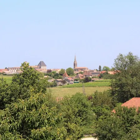 Grande Maison De Caractere Avec Piscine Privee Au Coeur Du Vignoble De Bergerac - Fr-1-616-128 Holiday home *