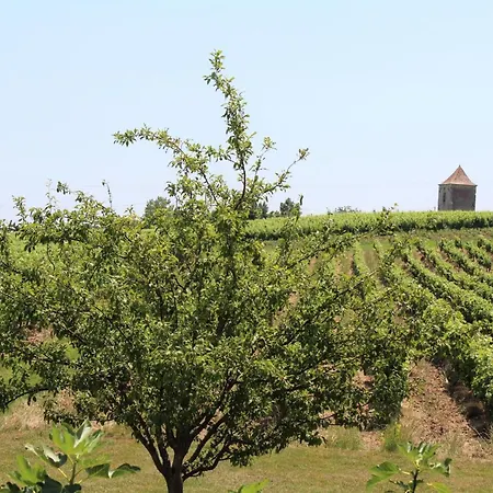 Grande Maison De Caractere Avec Piscine Privee Au Coeur Du Vignoble De Bergerac - Fr-1-616-128 Holiday home Saussignac